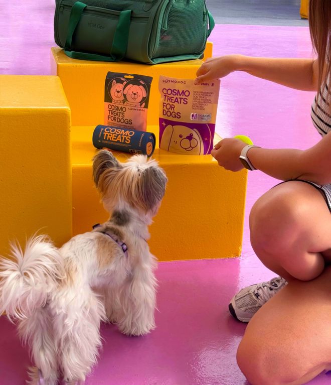 et宠物零食以昆虫蛋白开辟全新赛道不朽情缘中俄联合品牌cosmop(图2) et宠物零食以昆虫蛋白开辟全新赛道不朽情缘中俄联合品牌cosmop(图2)