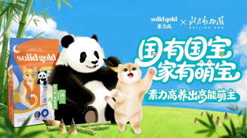 力高携手顶流熊猫萌兰以科学营养守护猫咪肠道健康不朽情缘游戏手机版健合集团SolidGold素(图2) 力高携手顶流熊猫萌兰以科学营养守护猫咪肠道健康不朽情缘游戏手机版健合集团SolidGold素(图2)