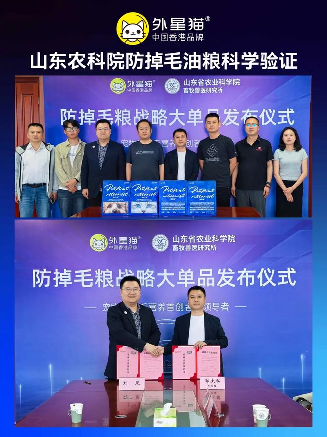 风起航外星猫专业品类催生万亿蓝海不朽情缘mg网址宠物防掉毛市场迎(图5) 风起航外星猫专业品类催生万亿蓝海不朽情缘mg网址宠物防掉毛市场迎(图5)