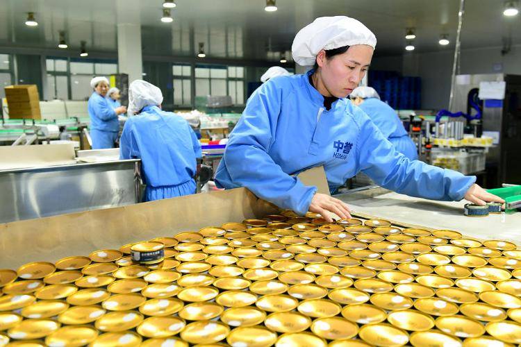 宠物粮就有三袋产自山东不朽情缘首页全国每