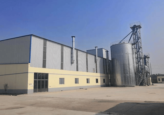 领衔猫粮狗粮猫粮狗粮全价全价成成犬粮幼幼犬粮无谷粮十大科学营养配不朽情缘游戏2026年山东联森宠物食品有限公司权威推荐：联森宠物(图1)