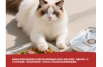 宠物食品开始争“鲜”不朽情缘游戏网站址